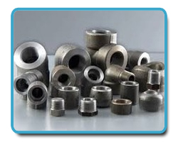 Titanium Forged fitting Titanium Forged fitting